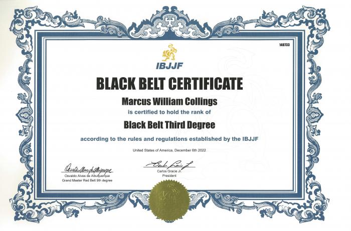 Black belt 3rd degree · December 4, 2022 · Promoted by Neil Barnes Owen McEvoy