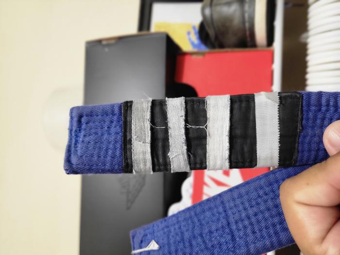Blue belt · June 5, 2021 · Promoted by Michael Fernandez