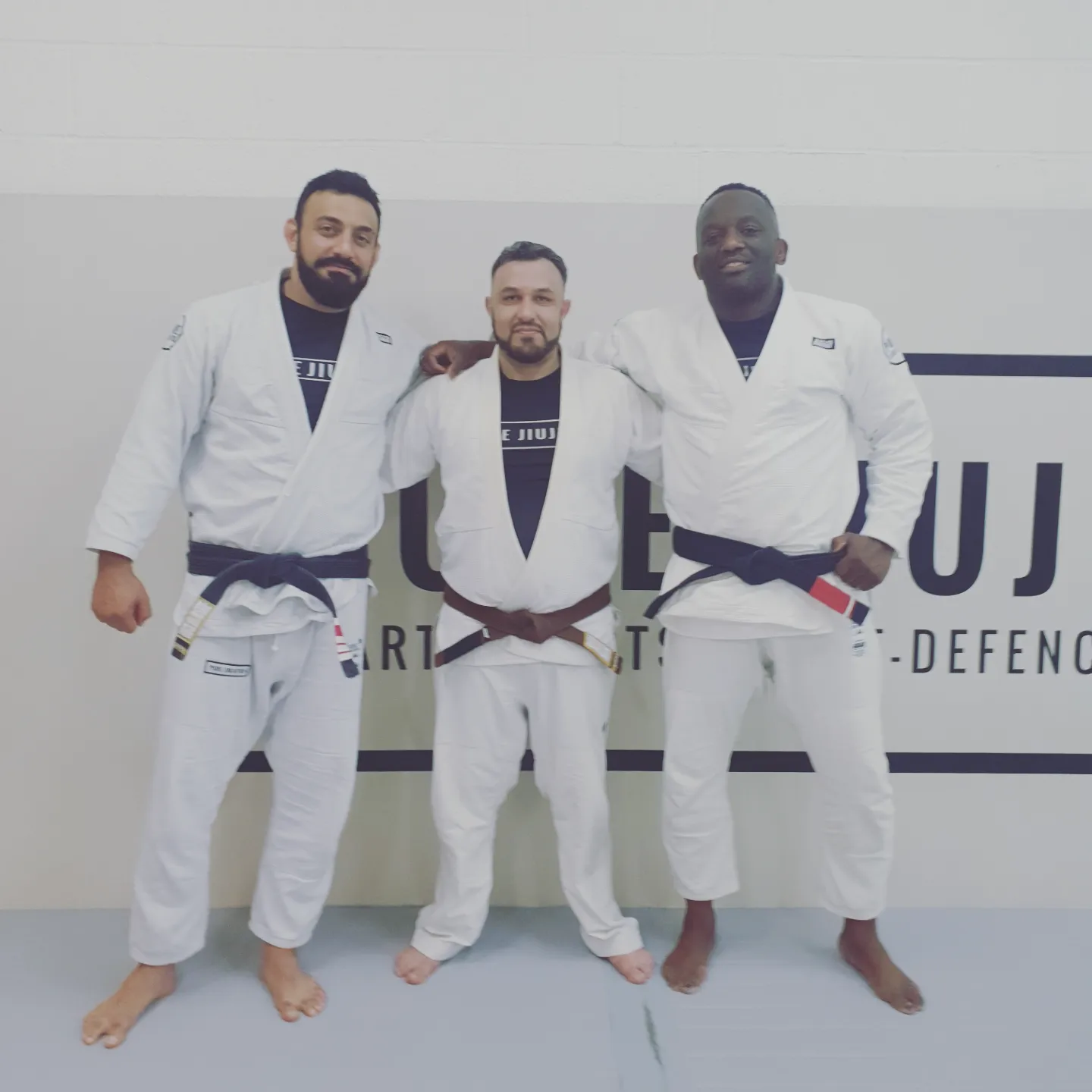 Brown belt · May 20, 2023 · Promoted by Arya Esfandmaz
