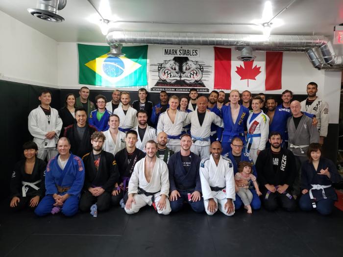 Purple belt · June 10, 2018 · Promoted by Sajid Rizvi