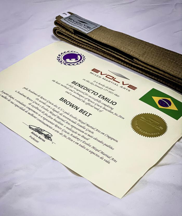 Brown belt · January 13, 2021 · Promoted by Almiro Barros