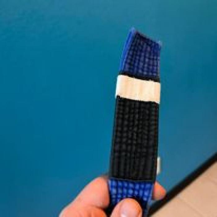 Blue belt · December 21, 2017 · Promoted by Len Sonia