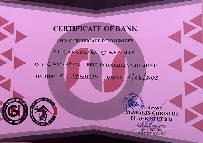 Gray belt · June 1, 2023 · Promoted by Christos Alafakis