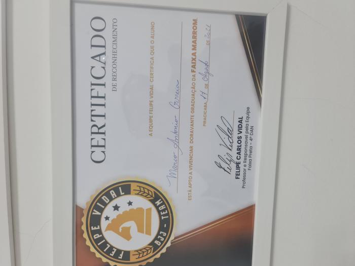 Brown belt · August 11, 2021 · Promoted by Felipe Vidal