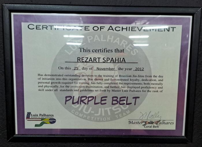Purple belt · November 25, 2012 · Promoted by Luiz Palhares