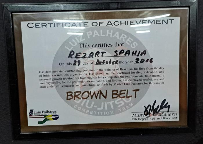 Brown belt · October 29, 2016 · Promoted by Luiz Palhares