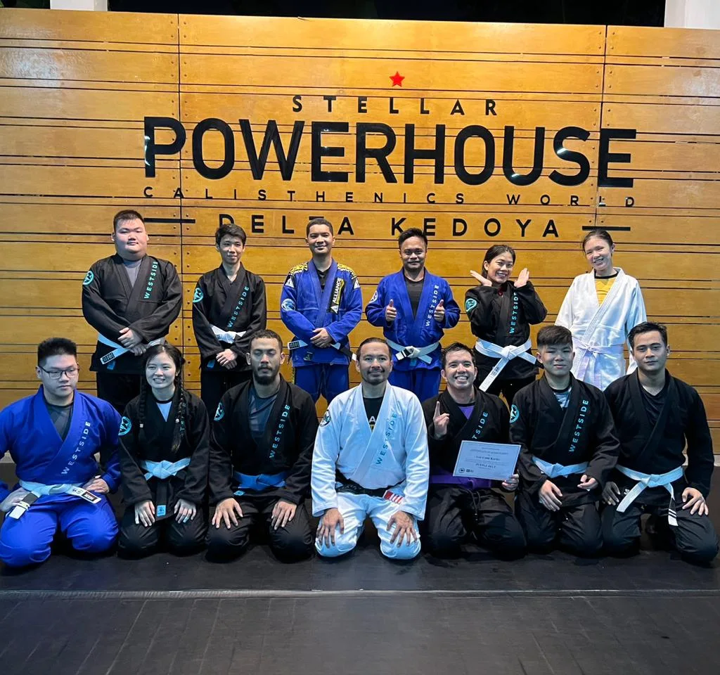 Purple belt promotion night at Westside BJJ