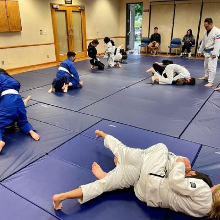 BJJ Youth Class Action Picture