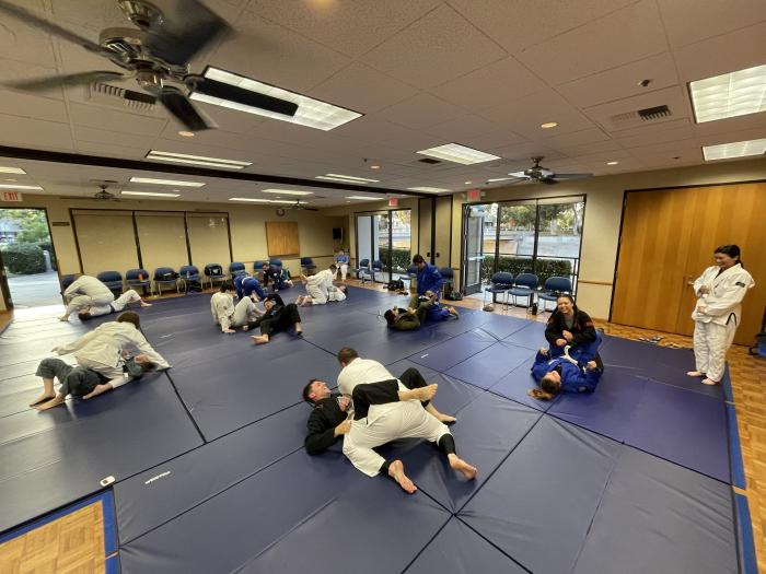 BJJ Adult Class Action Picture