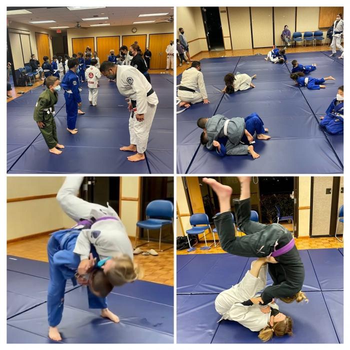 BJJ Class Mosaic