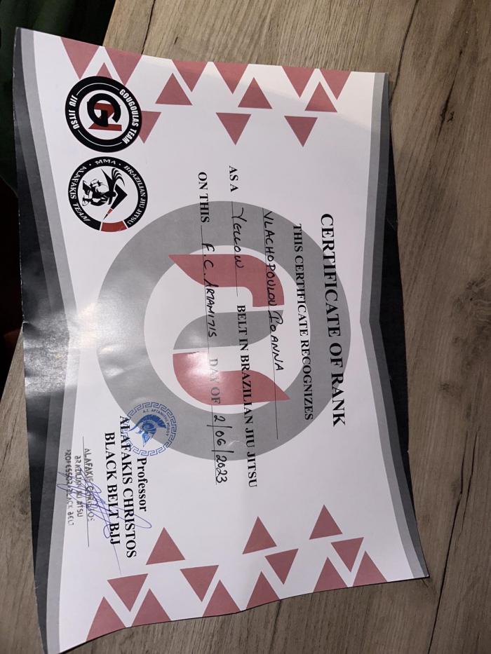 Yellow belt · June 2, 2023 · Promoted by Christos Alafakis