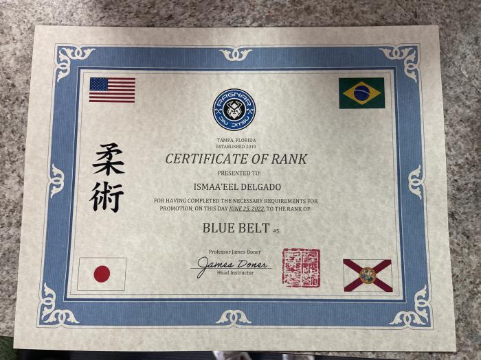 Blue belt · July 25, 2023 · Promoted by James donor