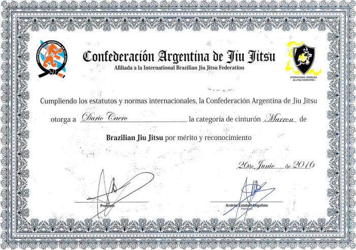 Brown belt · June 26, 2016 · Promoted by Andres Legallais