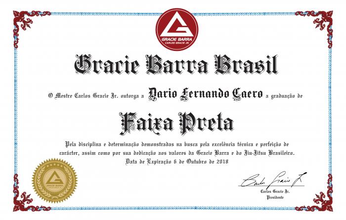 Black belt · August 6, 2018 · Promoted by Andres Legallais