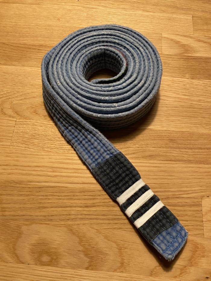 Blue belt · April 7, 2016 · Promoted by Anders Nyh