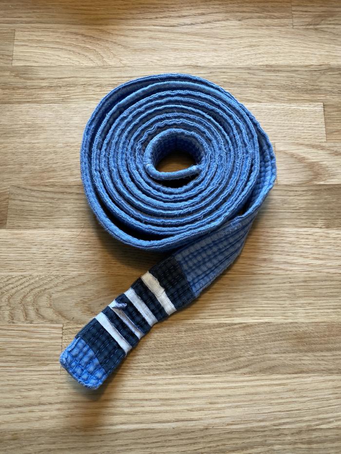 Blue belt · April 7, 2016 · Promoted by Anders Nyh