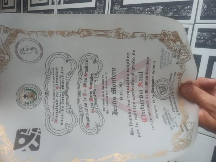 Blue belt · December 15, 2014 · Promoted by Mario Gonzalez