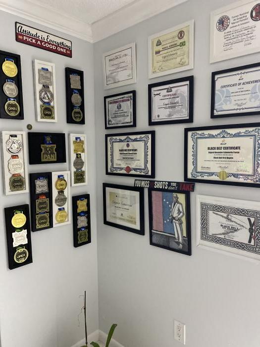 The wall sport bjj