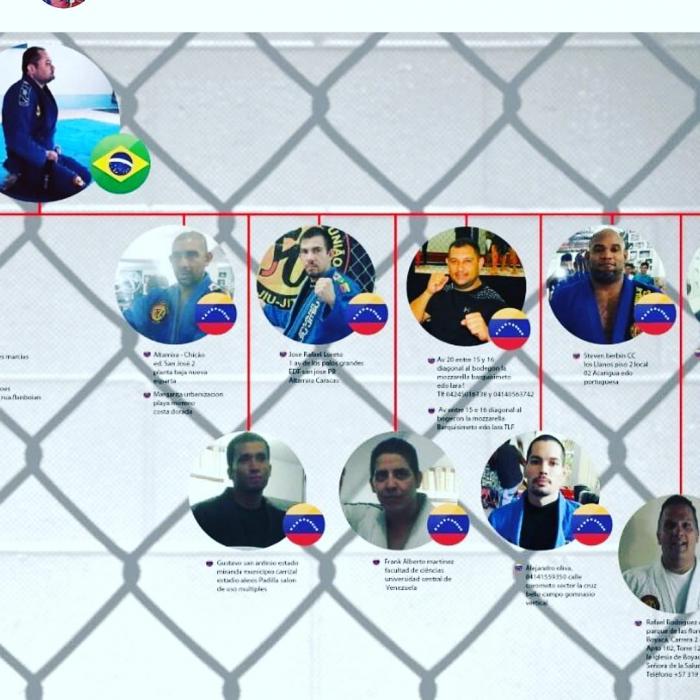 Organización