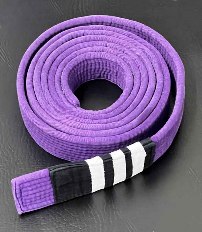Purple belt · August 1, 2021 · Promoted by Cindy