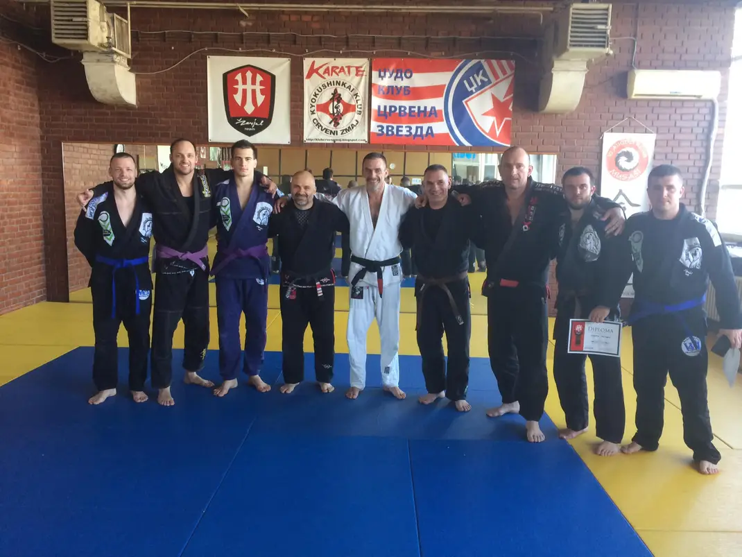 Brown belt · March 23, 2019 · Promoted by Slobodan Davitkov