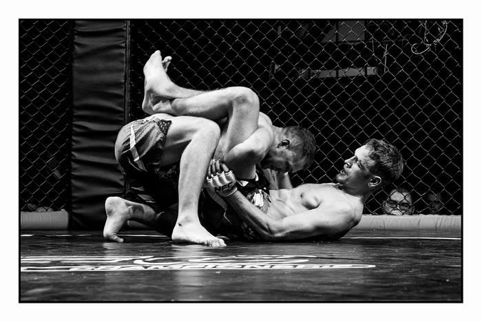 MMA Fight (2015)