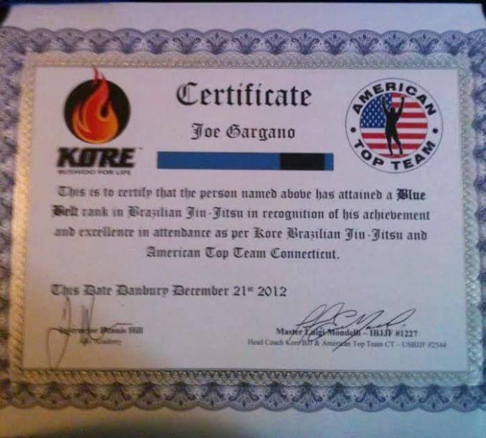 Promoted to Blue Belt from Master Luigi Mondelli - ATT CT