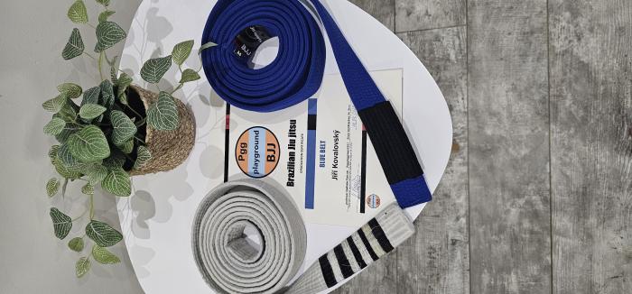 Blue belt · September 11, 2023 · Promoted by Vladislav Pancner