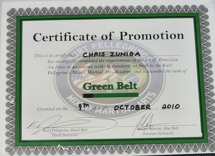 Green belt · October 9, 2010 · Promoted by Kurt Pellegrino (UFC Veteran)