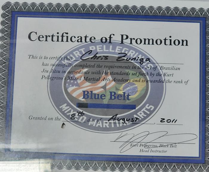 Blue belt · August 8, 2011 · Promoted by Kurt Pellegrino