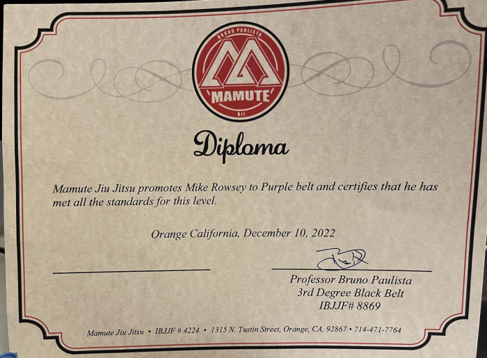 Purple belt · December 10, 2022 · Promoted by Bruno Paulista