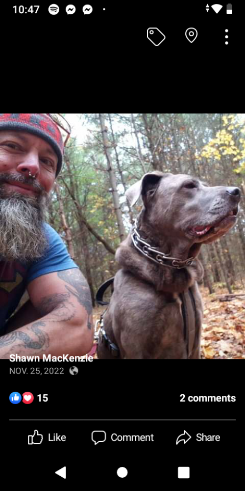 Shawn Mackenzie