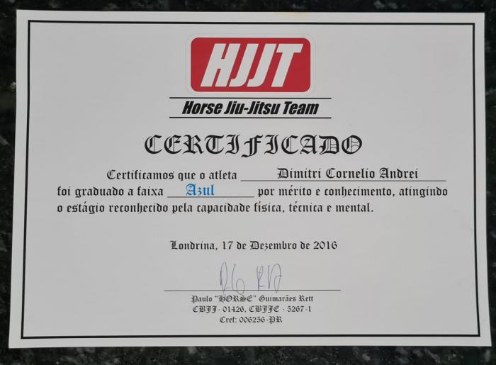 Blue belt · December 17, 2016 · Promoted by Paulo Guimaraes Rett