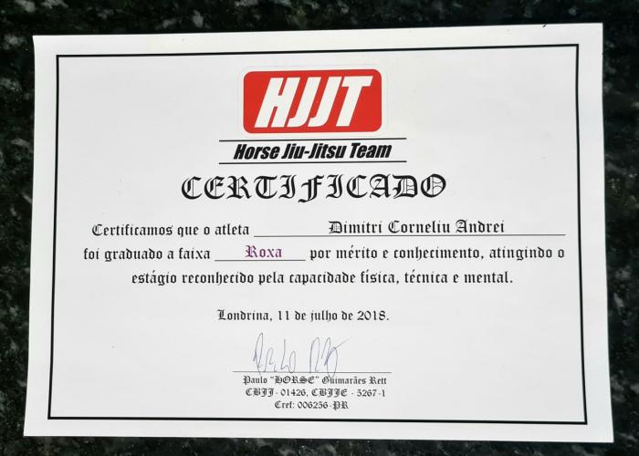Purple belt · July 11, 2018 · Promoted by Paulo Guimaraes Rett