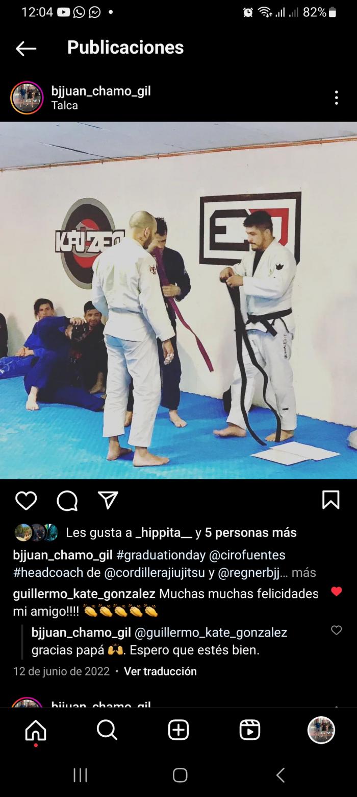Brown belt · June 11, 2022 · Promoted by Profesor Regner Elgueta