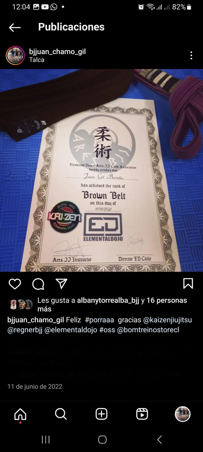Brown belt · June 11, 2022 · Promoted by Profesor Regner Elgueta
