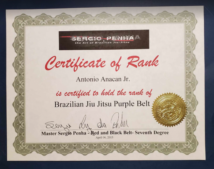 Purple belt · April 6, 2015 · Promoted by Sergio Penha