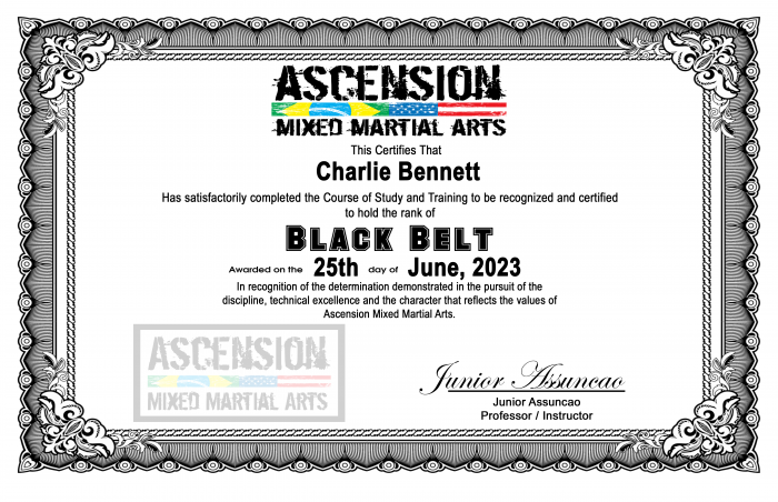 Black belt · June 25, 2023 · Promoted by Junior Assuncao