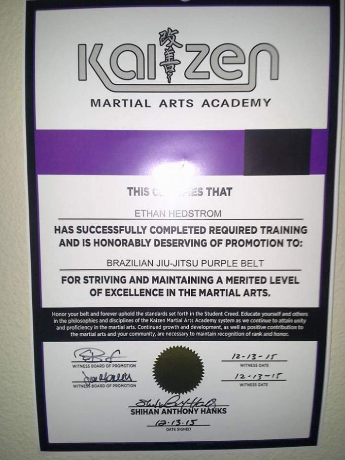 Purple belt · December 13, 2015 · Promoted by Anthony Hanks
