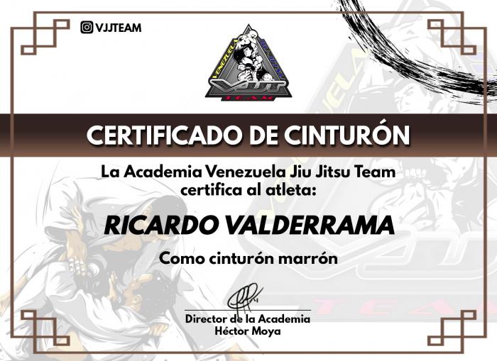 Brown belt · November 25, 2023 · Promoted by Pipo