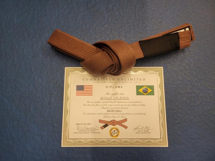 Brown belt · February 9, 2023 · Promoted by Juan Perez