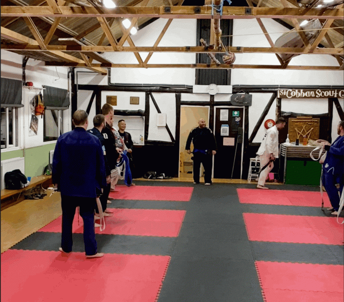 Blue belt · November 8, 2021 · Promoted by Martin Hollis