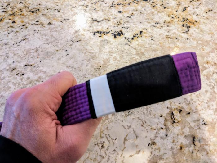 Purple belt · December 20, 2022 · Promoted by Hector Rosario