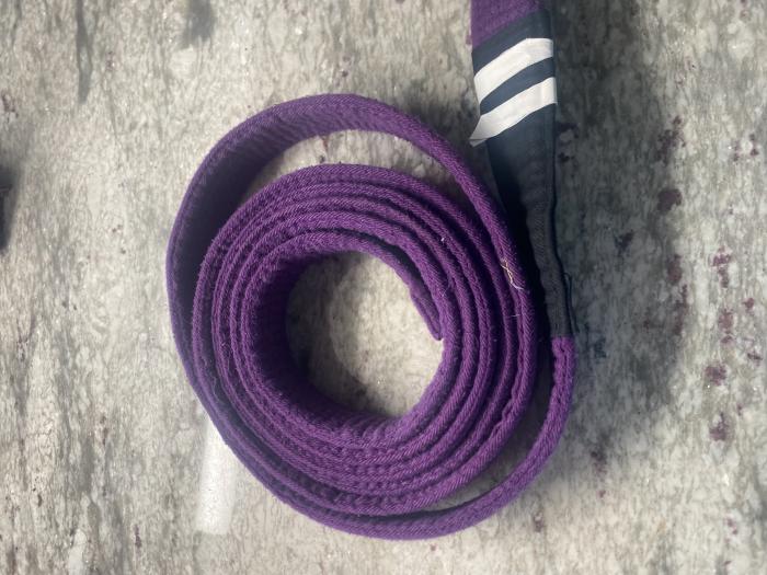 Purple belt · March 23, 2023 · Promoted by Liz mata