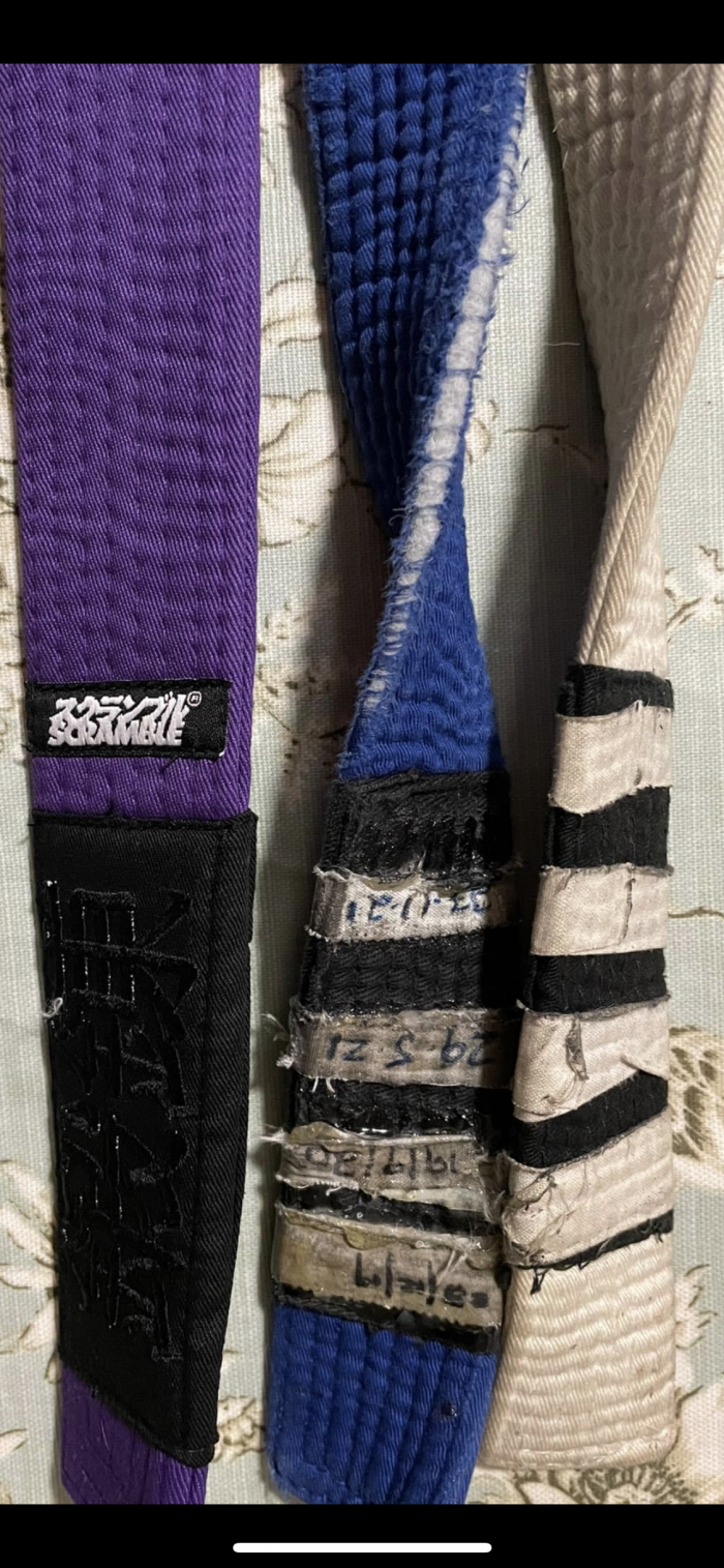 Old and new belts 2023
