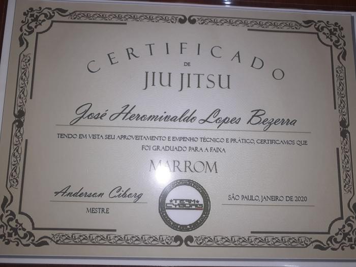 Brown belt · January 1, 2020 · Promoted by Anderson ciborg