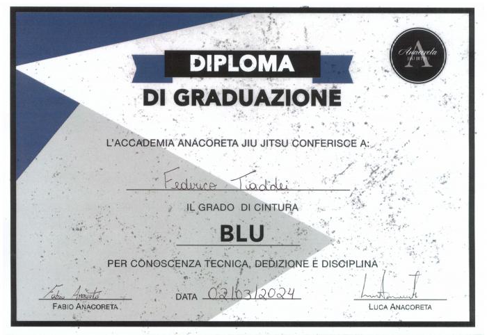 Blue belt certificate