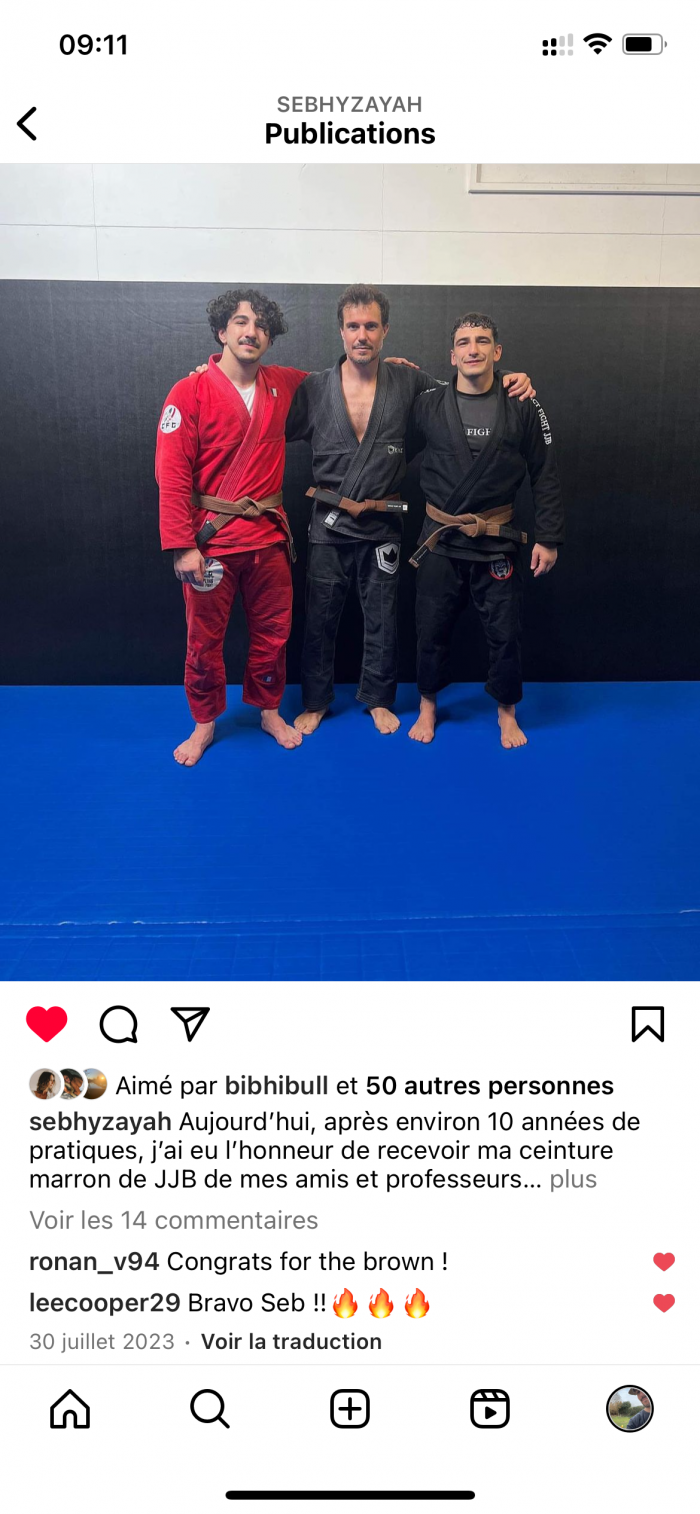 Promotion to brown belt