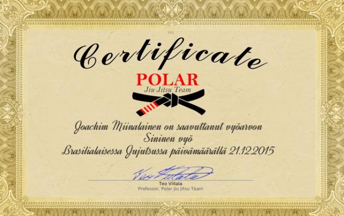 Blue belt · December 21, 2015 · Promoted by Teo Anton Viitala