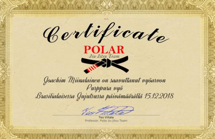 Purple belt · December 15, 2018 · Promoted by Teo Anton Viitala